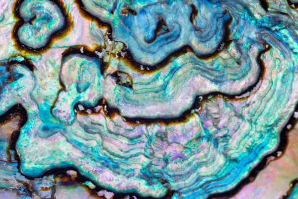 Paua Perlemoen或Abalone壳核珠母的自然纹理图案宏观抽象背景 — 图库照片