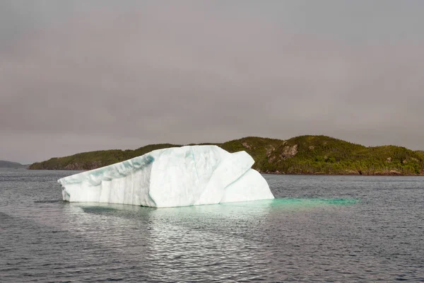 加拿大北卡罗来纳州纽芬兰市外大西洋沿岸海水中融化的冰山 — 图库照片