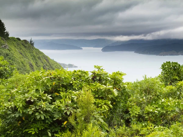 Vista Del Hermoso Paisaje Costero Nueva Zelanda Marlborough Sounds Cloudy — Foto de Stock
