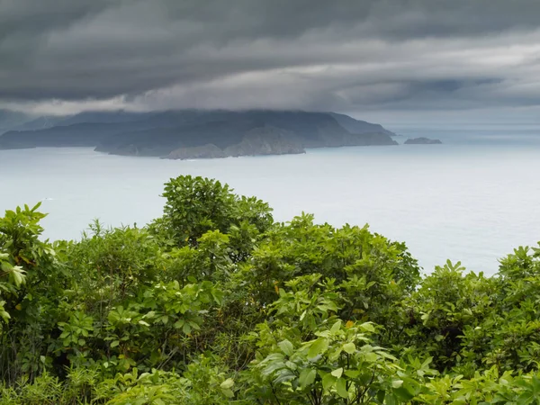 Widok Piękny Krajobraz Wybrzeża Nowej Zelandii Marlborough Brzmi Słabe Bay — Zdjęcie stockowe