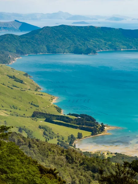 查看优美的海岸风景的新西兰马尔伯勒的声音 Anakoha 湾和库克海峡 — 图库照片
