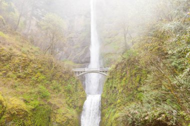 Multnomah Falls ve Benson Footbridge 'in ünlü simgesi Portland, Oregon, ABD yakınlarındaki Columbia River Vadisi' nde yağmurlu bir günde