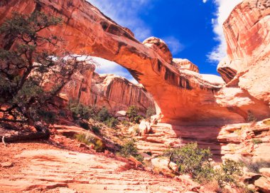 Hickman Köprüsü doğal olarak ABD 'nin Utah eyaletindeki Capitol Reef National Park' ta jeolojik oluşum oluşturdu.