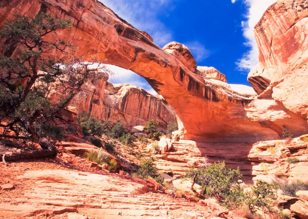 Hickman Bridge Naturally Formed Geologic Formation Capitol Reef National Park — Stock Photo, Image