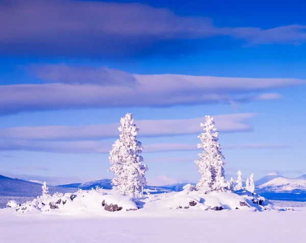 加拿大Yt育空地区冻结的Tagish湖中的小岛屿冬季雪景 — 图库照片