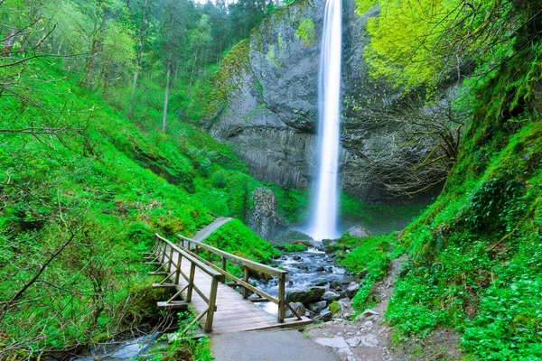 Trail Wooden Footbridge Front Latourell Falls Weelderig Groen Bos Oregon — Stockfoto