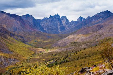 Mezar taşı kara Parkı Dempster Otoban Kuzey Dawson City, Yukon toprakları, Kanada gelmesi sonbahar sonbahar renkleri başlatmak