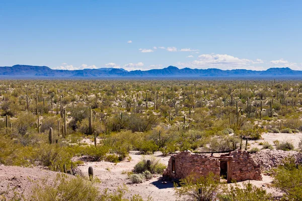 Ιστορική Καταστροφή Κτιρίου Στην Έρημο Sonoran Της Organ Pipe Cactus — Φωτογραφία Αρχείου