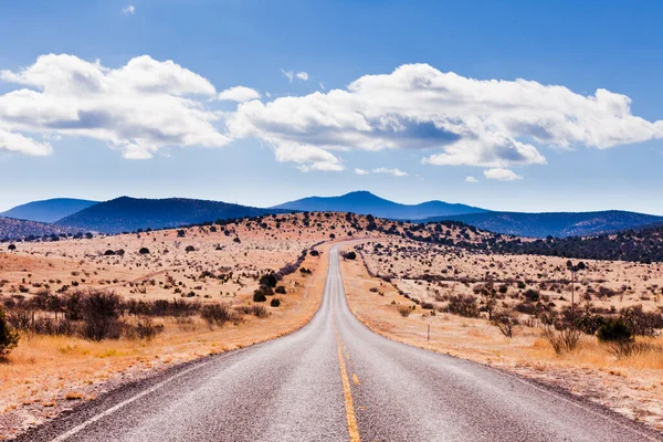 Дорога Ведущая Высокогорный Пустынный Ландшафт Дэвис Маунтейнз Техас Сша — стоковое фото