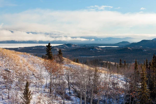 Časný Podzim Sníh Odlehlé Divoké Krajině Krajiny Jezera Laberge Oblasti — Stock fotografie