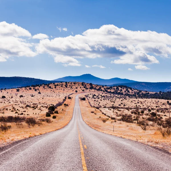 Straight Road Horizon Het Hoge Woestijnlandschap Van Davis Mountains Texas — Stockfoto