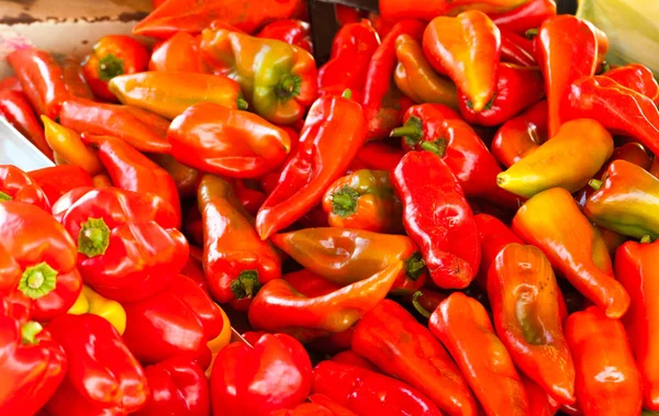 Termelők Piaci Termékek Kínálnak Forró Piros Paprika Fűszeres Nyers Élelmiszer — Stock Fotó