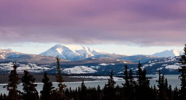 Rosa Nuvens Inverno Paisagem Início Inverno Sobre Lake Laberge Yukon — Fotografia de Stock