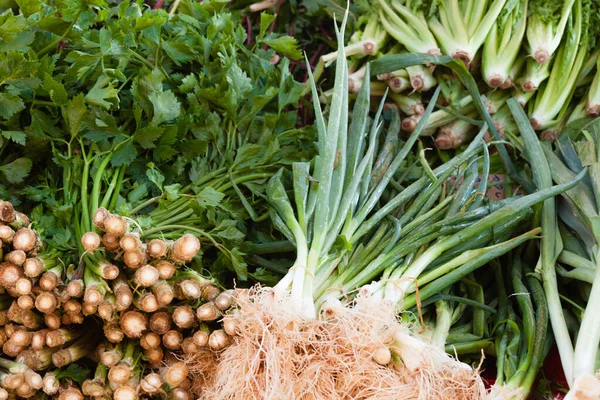 Produce Market Offering Tasty Fresh Green Onions Leafy Parsley Vegan — Stock Photo, Image