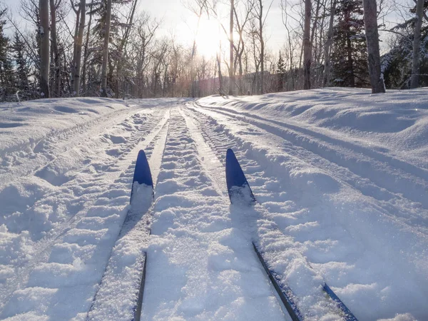 Cross Country Skiing Low Angle Shot Skis Tracks Sunny Winter — Stock Photo, Image