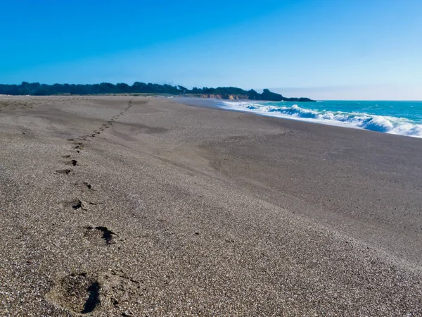 Fotavtrykk Person Våt Sand Vakker Strand Med Surf Stranden California – stockfoto
