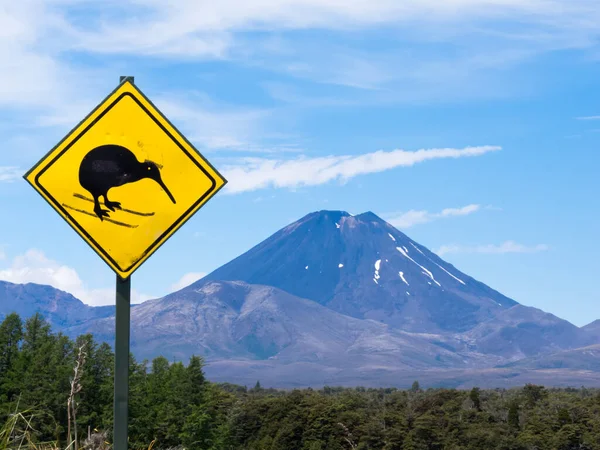 Aktiver Vulkan Mount Ngauruhoe Und Modifiziertes Achtung Kiwi Crossing Road — Stockfoto