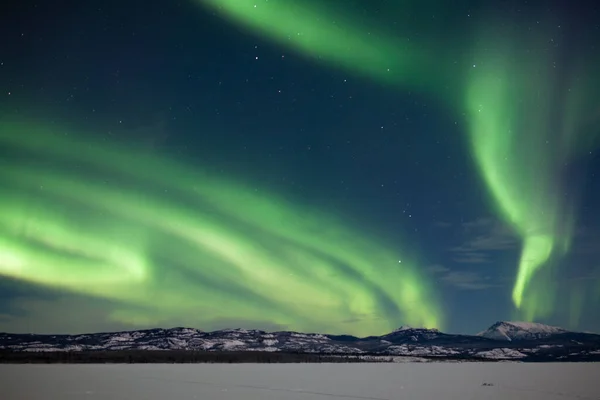 加拿大育空地区Laberge冰湖 北极光或北极光在月光下舞动的明亮的绿色北极光带 — 图库照片