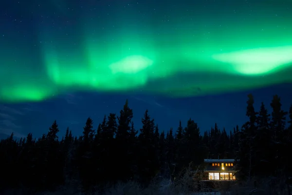 在加拿大育空地区的北方森林里 舒适的针叶林在星夜的星空下闪烁着舞动的北极光 温暖地照亮着家园 — 图库照片