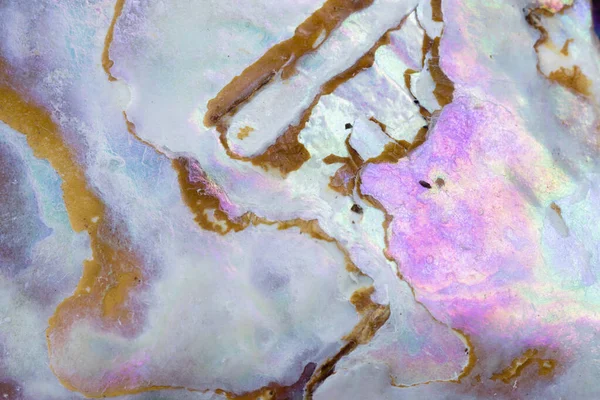Paua Perlemoen或Abalone壳核珠母的自然纹理图案宏观抽象背景 — 图库照片