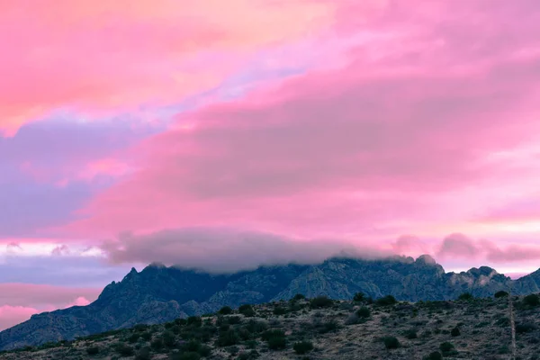 Pink Sunset Clouds Chisos Mountain Range Big Bend National Park — Stockfoto