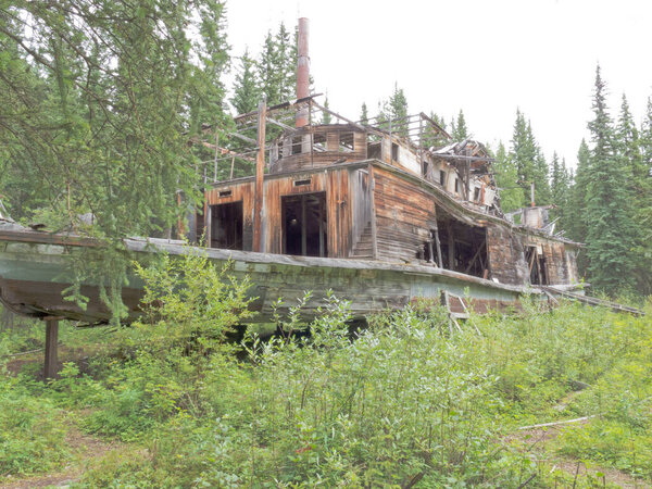 Steamboat sternwheeler wreck of Evelyn rotting in the wilderness of Shipyard Island next to historic Hootalinqua on Yukon River, Yukon Territory, Canada