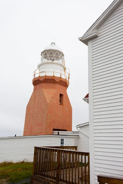 位于加拿大北卡罗来纳州纽芬兰岛东北大西洋海岸的北Twillingate岛乌鸦头旁的长点灯塔 — 图库照片