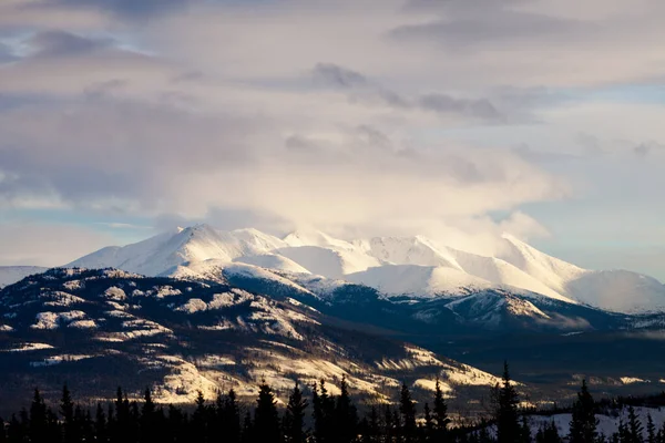 Winter Gebirgszug Überragt Malerische Wildnis Landschaft Des Yukon Territory Kanada — Stockfoto
