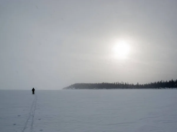 Narciarz Country Jałowej Zamarzniętej Śnieżycy Zimowy Krajobraz Słońcem Świecącym Przez — Zdjęcie stockowe