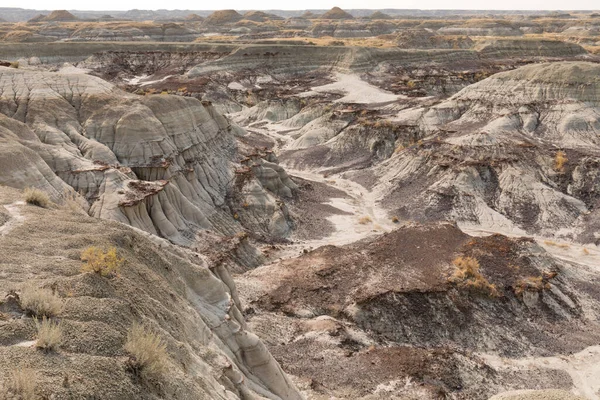 ユネスコ世界遺産に登録されている恐竜州立公園赤い鹿川渓谷の草原の風景は 恐竜の骨の化石 アルバータ州 カナダの熱いベッドです — ストック写真