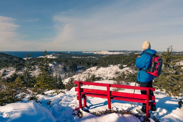 Winterwandelaar Stand Rode Bank Zonnige Winterdag Met Uitzicht Het Landschap — Stockfoto