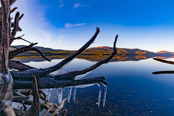 加拿大不列颠哥伦比亚省北部秋天五彩斑斓的景色的前景是 金凯珊湖带着冰封的海岸漂流木 秋天里一片平静 — 图库照片