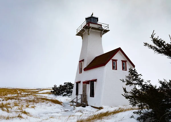 加拿大爱德华王子岛肯辛顿县新伦敦灯塔历史性的灯塔建筑 冬季有雪地沙丘 — 图库照片