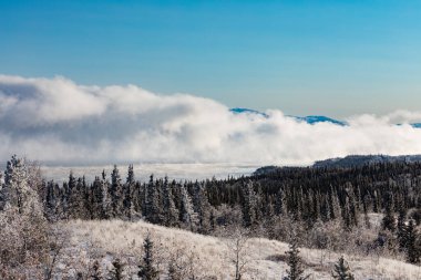 Laberge Gölü, Yukon Toprakları, YT, Kanada 'nın hâlâ buzsuz su yüzeyinden yükselen ağır sisli Boreal Ormanı Taiga tepelerinin kış başları.