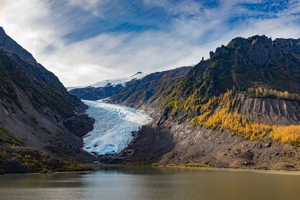 Eiszunge Und Herbstfärbung Bear Glacier Provincial Park British Columbia Kanada — Stockfoto