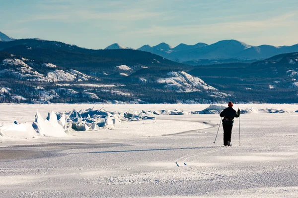加拿大育空地区拉伯尔吉湖冬季冰冻仙境中冰层之间的紧张压力导致的越野滑雪者探索压力山脊 — 图库照片
