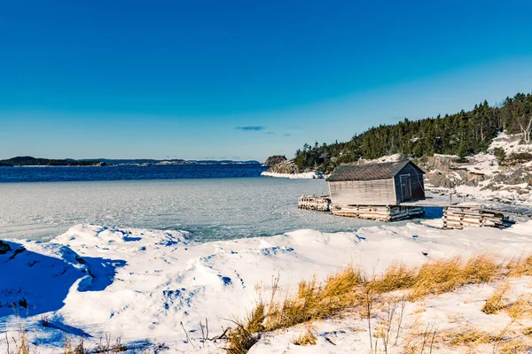 New World Island Newfoundland Kanada Nın Sakin Kışlık Koyunda Eski — Stok fotoğraf