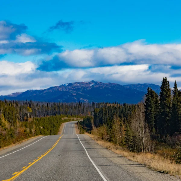 Alaska Highway Alcan Wielkim Pustym Krajobrazie Dzikiej Przyrody Terytorium Południowego — Zdjęcie stockowe