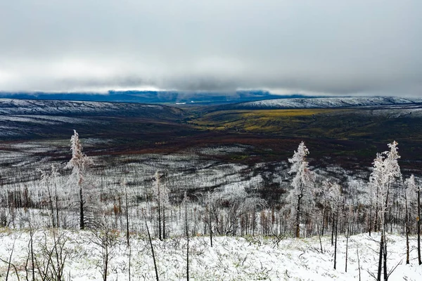 Eind Augustus Sneeuw Wildvuur Verbrand Subarctisch Bos Natuurlijk Landschap Van — Stockfoto
