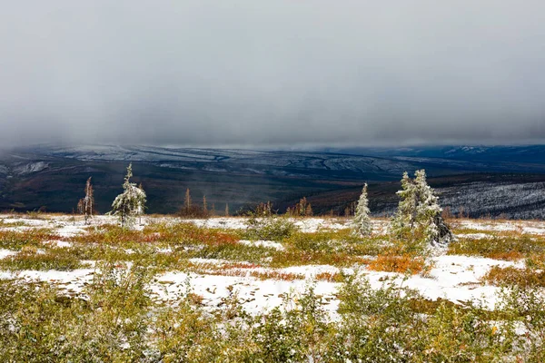 Późny Sierpień Śnieg Subarktycznej Tundrze Alpejskiej Krajobraz Naturalny Gór Ogilvie — Zdjęcie stockowe