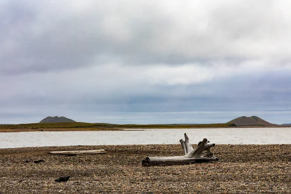 Pingo Van Pingo Canadian Landmark Bij Beaufort Sea Arctic Ocean — Stockfoto