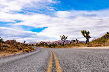 Kışın Mojave Çölü 'nde, uzak karlı zirveleri olan alçak açılı yol manzarası, Joshua Tree Ulusal Parkı, Kaliforniya, CA, ABD