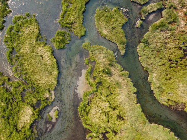 Riparian wetland wilderness aerial view of creek in swampy marshland in boreal forest of Yukon Territory, Canada