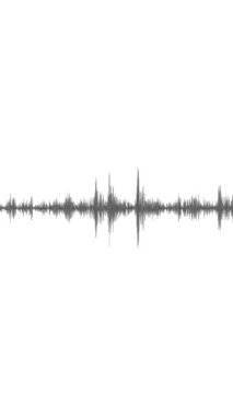 Animated audio wave spectrum equalizer. Digital sound technology background 4K.