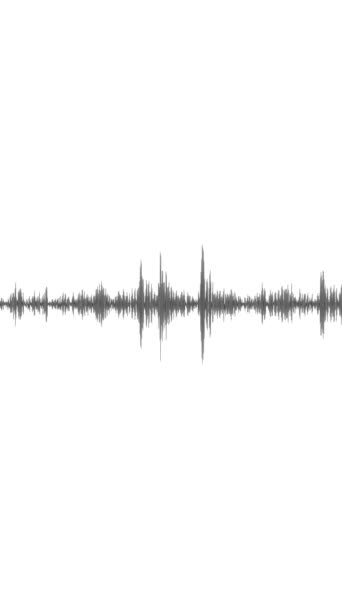 Анімований Еквалайзер Спектру Звукових Хвиль Цифрові Звукові Технології Фон — стокове відео