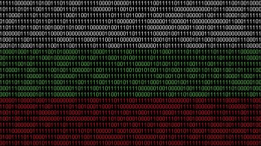 Bulgaristan bayrağı üzerine ikili kod. Bulgar bayrağında program kaynak kodu veya Hacker kavramı. Bulgaristan dijital teknoloji güvenliği, hackleme veya programlama kavramı