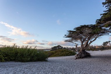 Güzel deniz manzarası