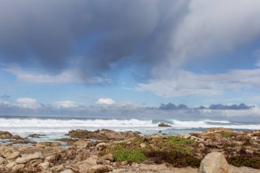 Deniz kıyısının güzel manzarası