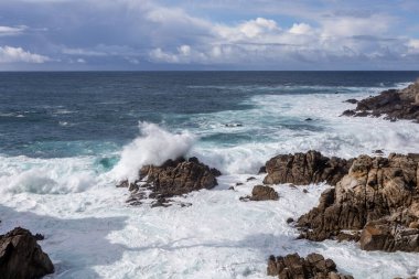 Deniz kıyısının güzel manzarası