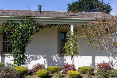 Güzel botanik fotoğrafı, doğal duvar kağıdı.